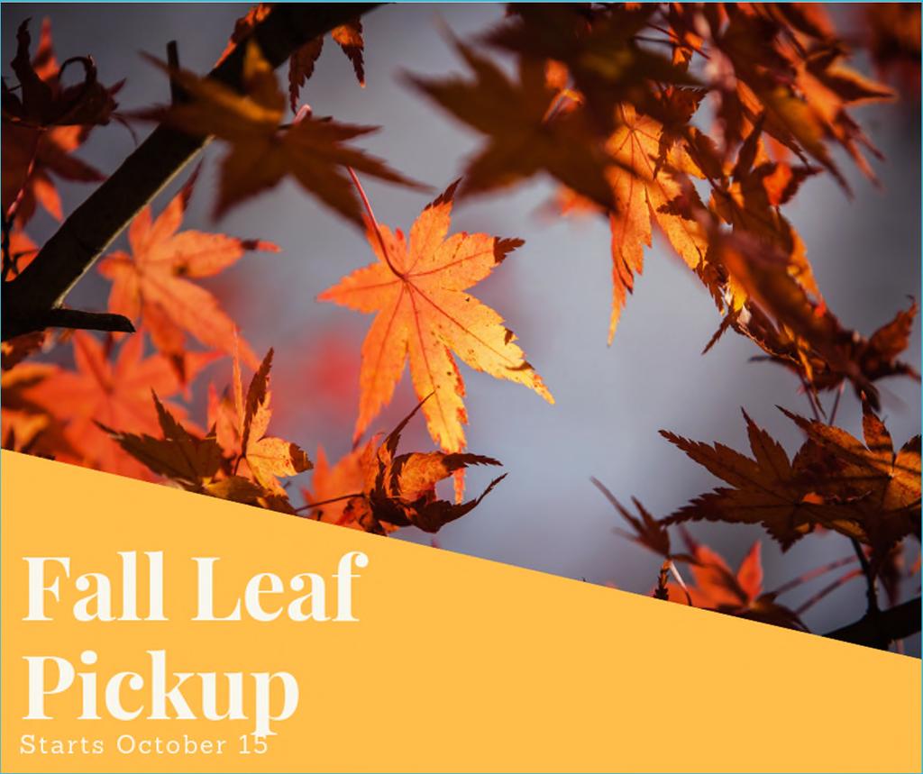 Fall Leaf Pick-UP Begins October 15 Mondays East