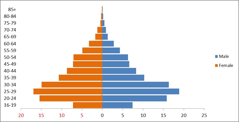 Figure 14: Age sex distribution (%) of the currently employed population (Rwanda) The fact that the working population of Rwanda is young is also proved by the mean and median age of the employed