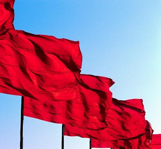Red Flags of Bribery and Corruption Internal control red flags of corruption: Poor internal controls over key functional areas Insufficient capacity to monitor