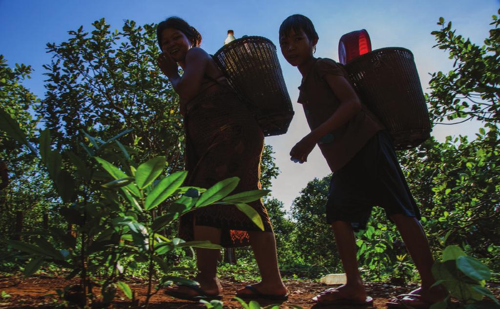 Indigenous farmers in northern Cambodia face the loss of their forests and farmland to foreign companies. Klong Chavan, 53, says his home province has seen dramatic change over the years.