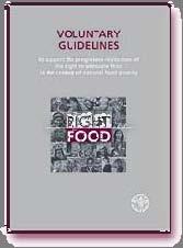 Learning Objectives At the end of this lesson, you will be able to: understand the relevance of the Right to Food Guidelines as a tool to support the progressive realization of the right to food; and