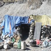 26 shelters inhabited by 147 people resulting in mere 8 sq.