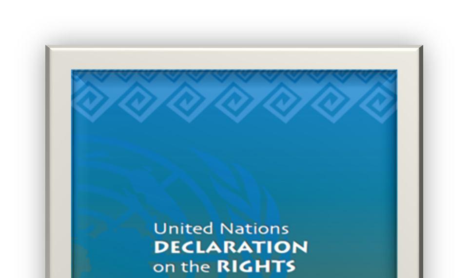 The United Nations Declaration on the Rights of Indigenous Peoples (UNDRIP) represents a standard of achievement to be pursued in the spirit of partnership and mutual respect that marks Canada s