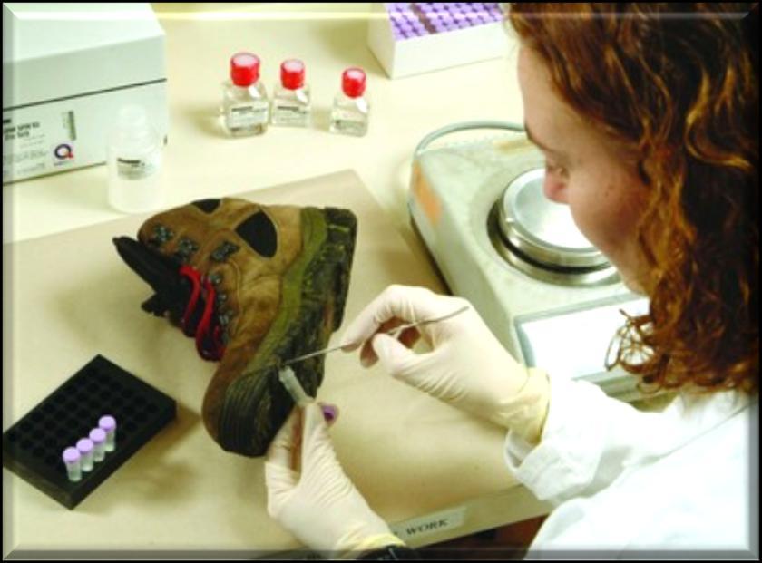 Identifying and Collecting Physical Evidence Some evidence is analyzed through the use of forensic science.