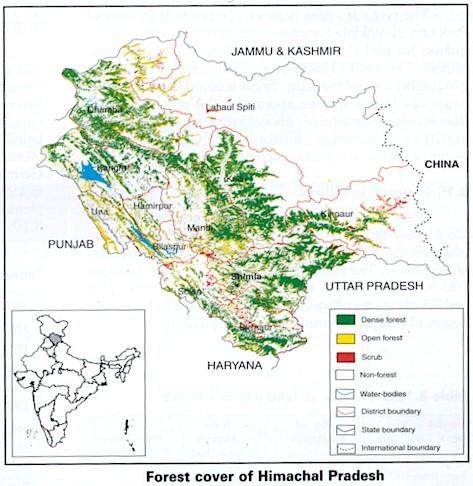 Enclosing the Commons: Nargu Sanctuary Dense and semidense forests
