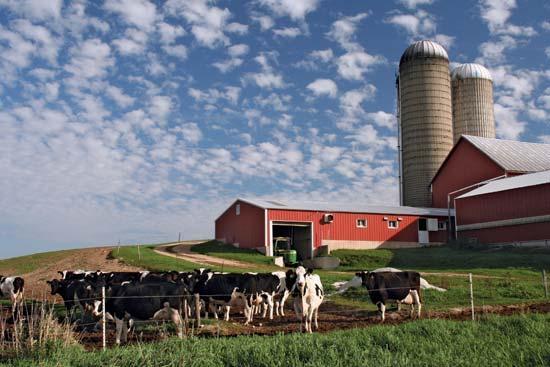 employees in Wisconsin who are immigrant workers (2008): over 40% Seasonal work visas do not work for dairy farmers since their work is not seasonal.