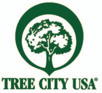 12 BOARDS AND COMMISSIONS GUIDE TREE AUTHORITY Established by Ordinance, November 1995 Springboro Code - Chapter 280.05 MEMBERSHIP: 5 members 4 residents, 1 Council Member.