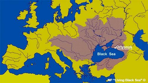 Transport Chains Source : Living Black Sea Railway: The Black Sea railway system is generally well developed.