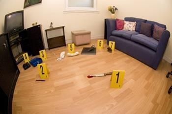 generated data for forensic investigation Advanced easy to use in-situ forensic tools at the scene of crime