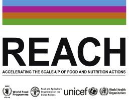 Nutrition working group (West Africa) Advocacy, coordination, research, capacity building