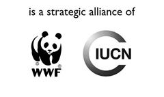 TRAFFIC is a strategic alliance between WWF and IUCN, and was established in 1976 in what remains a unique role as a global specialist, leading and supporting efforts to identify conservation