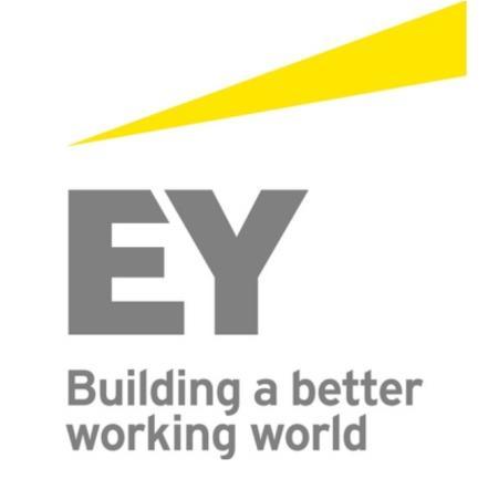 Election of auditor Ernst & Young AG Ernst & Young AG, Zurich Auditor since 2015 Willy