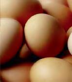 SUMMARY 1 Between 2004 and 2005, the EU (25) export volume of shell eggs increased by 62,585 tonnes or 9.7%.