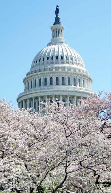 Join AAHAM for our 15 th Annual Legislative Day Lobby at the grassroots level Receive insider briefings from experts on issues critical to the industry Meet face-to-face with your members of the