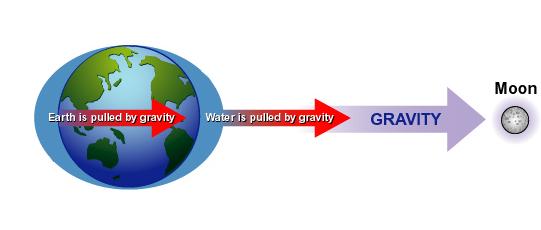 7.1 Sources of energy Ø Ø All objects with mass feel forces in the presence of Earth s gravity.