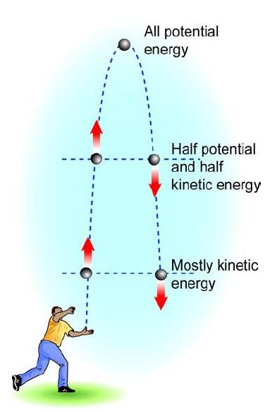 7.3 Conservation of Energy Ø When you throw a ball in the air, the