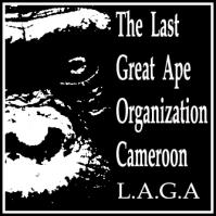 Highlights The Last Great Ape Organization LAGA September 2011 Report 2 Internet wildlife dealers arrested in collaboration with US authorities after offering rhino horns for sale with falsified