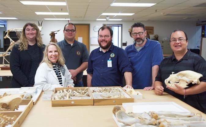 Pg. 12 NMNH Osteology Workshop for the Identification of Human Skeletal Remains for Native American Repatriation Representatives In response to requests from Native American Tribal Historic