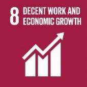 SDG 8 Reviews covering SDG 8 described successes and challenges in progress toward decent work and economic growth, rooted in a strong, growing economy that accommodates a wide range of people in