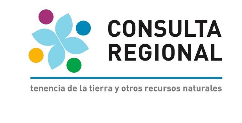 FINAL REPORT FAO Regional Consultation for Latin America on Voluntary Guidelines on Responsible Governance of Tenure of Land and Other Natural Resources. South America and Mexico.