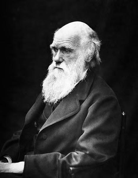 2.Social Darwinism Extension of logic of Charles Darwinʼs theory of evolution.