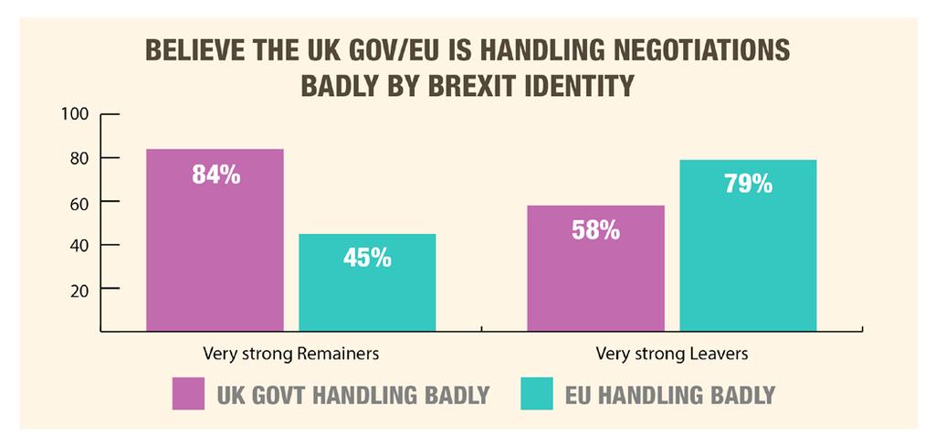 Very strong Remainers are particularly likely to be critical of how the UK
