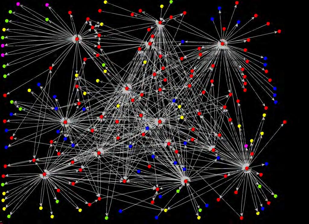 Fig. 2 Complete network with all actors (vertices) and relationships (arcs) Without dwelling too much on the details of this intricate network it becomes already clear that some participants act as