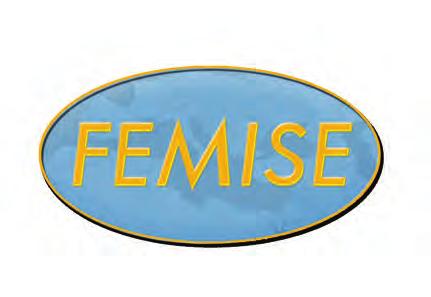FEMISE 2012 Annual