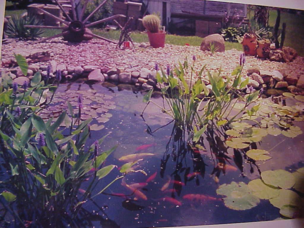 Page 2 POND/WATER FEATURE OF THE MONTH BY Ron Kramer ELECTIONS Article IV, Section 3 of the Bi- Laws states: Election of Officers and appointment of Directors and Chairpersons.