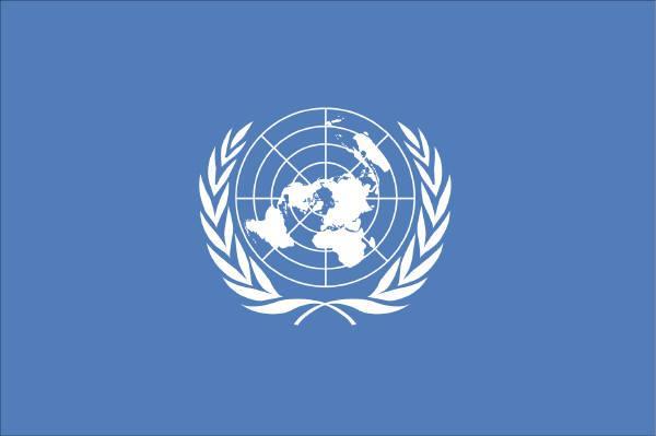 UNITED NATIONS The U.N. changes the nature of sovereignty by applying the concept to an
