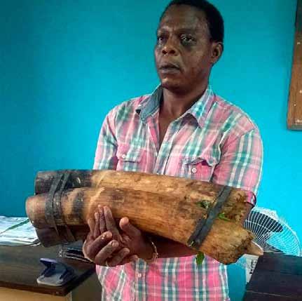Oumarou Faroukou, an infamous ivory trafficker, was arrested in Gabon when trying to sell 2 large tusks.
