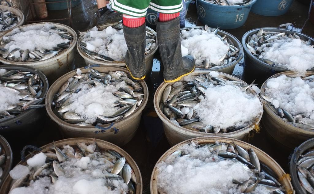 A fact sheet from Nov 2017 Port State Measures Agreement: Why Seafood Buyers Should Help John Andrew Uy/Getty Images Overview Each year, up to 26 million tons of fish are stolen from our seas.