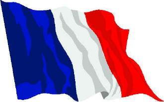 The French flag tricoleur Red and blue: