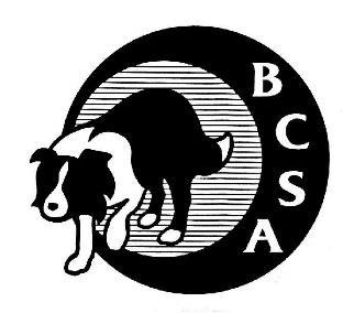 Minutes of BCSA Board Meeting Tuesday December 11, 2018 The regular monthly meeting of the 2017-2018 BCSA Board was called to order at 6:35 PM CDT by the President. The Secretary was present.