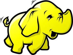 Hadoop Big Data Services q Open source Apache Hadoop along with a framework for map reduce jobs over data q Move processing to the data q Seamless scalability q 2009: Pilot Hadoop on Cloud q 2010: