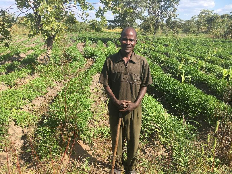 "This year, I engaged in farming with a very positive mind knowing that if my crops failed because of drought, I would be saved by insurance compensation and not be desperate to find food.