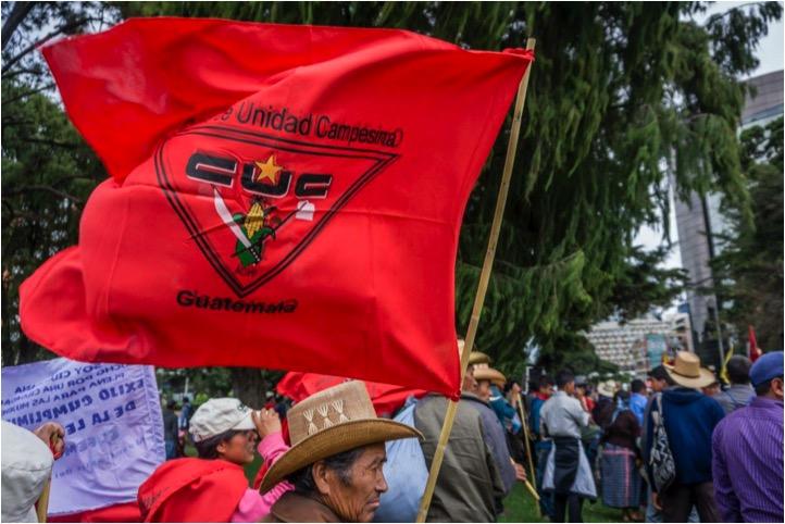 organisations. In Guatemala, our main partner organisations were CONAVIGUA, the National Coordination of Widows of Guatemala; and Comité de Unidad Campesina, the Peasant Unity Committee.