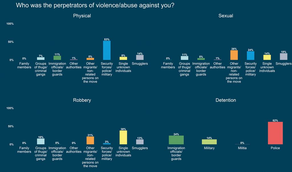 Graph 6 Alleged perpetrators of violence and protection