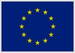 EN ANNEX 5 of the Commission Implementing Decision on the Multi-Annual Action Programme 2018-2020 for the European Instrument for Democracy and Human Rights (EIDHR) to be financed from the general