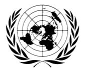 UNITED NATIONS NATIONS UNIES OFFICE OF THE SPECIAL ENVOY OF THE SECRETARY-GENERAL FOR THE GREAT LAKES REGION The Women s Platform for the Peace, Security and Cooperation (PSC) Framework for the
