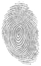 biometric to clock in and out of work. See also indifferent user, non-cooperative user, uncooperative user. Core Point The "center(s)" of a fingerprint.