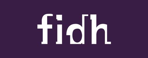 FIDH, is an international human rights NGO representing 184 organizations from 112 countries.