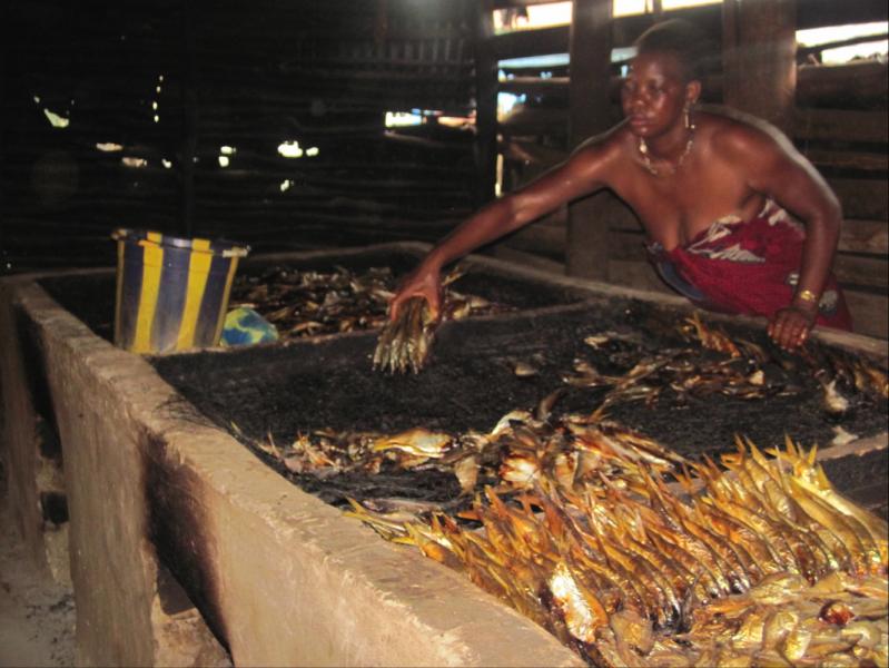 Learning from experiences Reduc:on of ﬁrewood for ﬁsh- conserva:on industry, Sierra Leone Objec0ve Ø To improve the ﬁsh smoking process by using improved wood stoves Technology applied/ Approach Ø