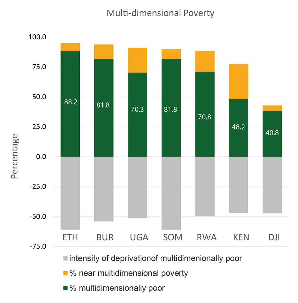 Poverty profiles: Chronic and multi-dimensional poverty persist Poverty Multi-dimensional Multi-Dimensional Poverty Poverty
