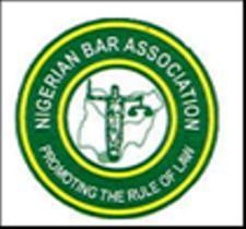 Bar Association (NBA) and Transition Monitoring Group (TMG).
