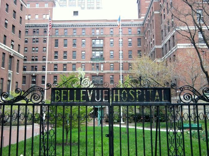 Bellevue/NYU Program for Survivors of Torture Founded in 1995 Over 4,000 men, women and