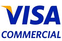 VISA GOVERNMENT SERVICES CARD-BASED TECHNOLOGIES