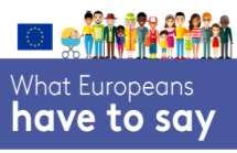 Cultural heritage and the Europeans To raise awareness of common history and values: cultural heritage important for local community, region, country and the EU (more than 80%!
