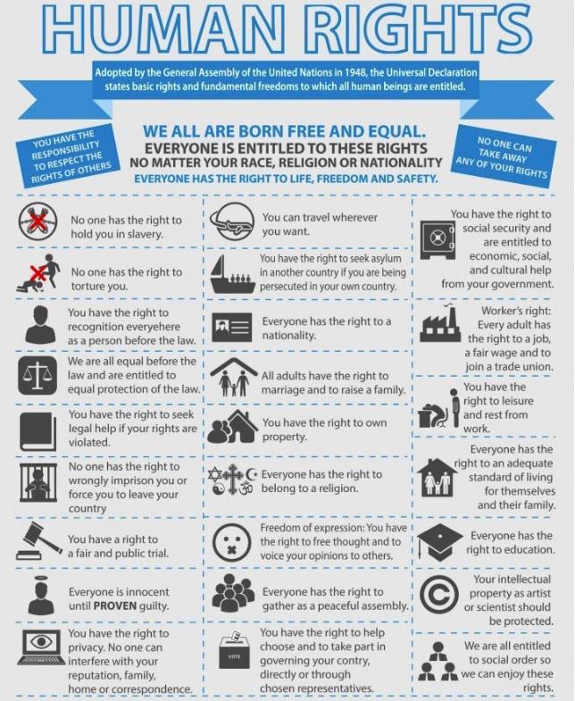 Source 2 Attachment D Infographic illustrating the Universal Declaration of Human Rights (From
