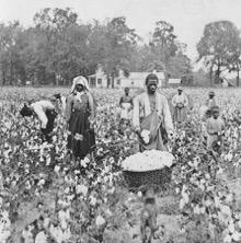 sharecropping kept them in de